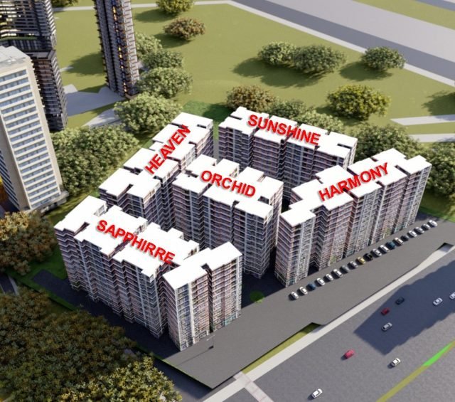 WhatsApp Image 2026-02-19 at 12.42.39 PM